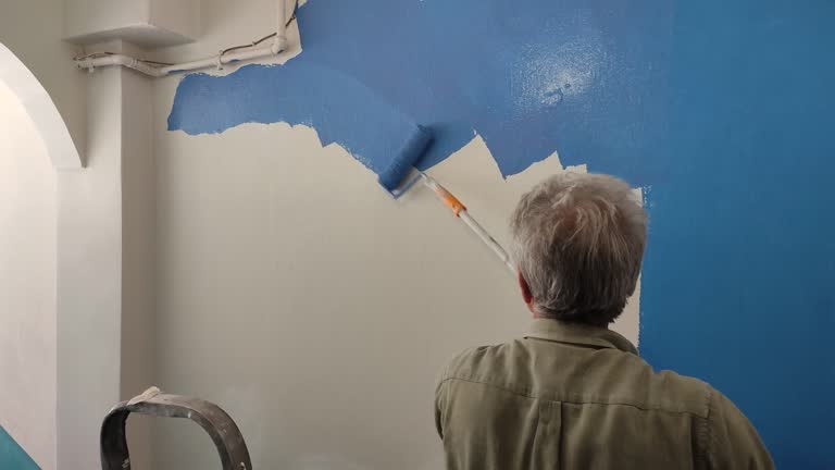 Best Commercial Painting  in Mount Pulaski, IL